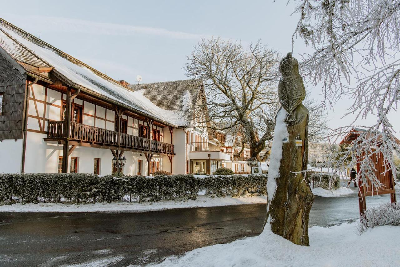 Waldhotel Kreuztanne Sayda Exterior foto